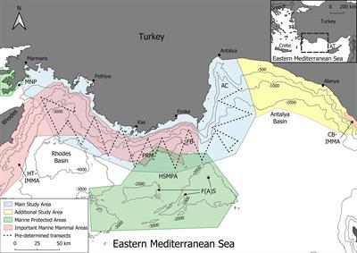 Spatial Distribution and Encounter Rates of Delphinids and Deep Diving Cetaceans in the Eastern Mediterranean Sea of Turkey and the Extent of Overlap With Areas of Dense Marine Traffic